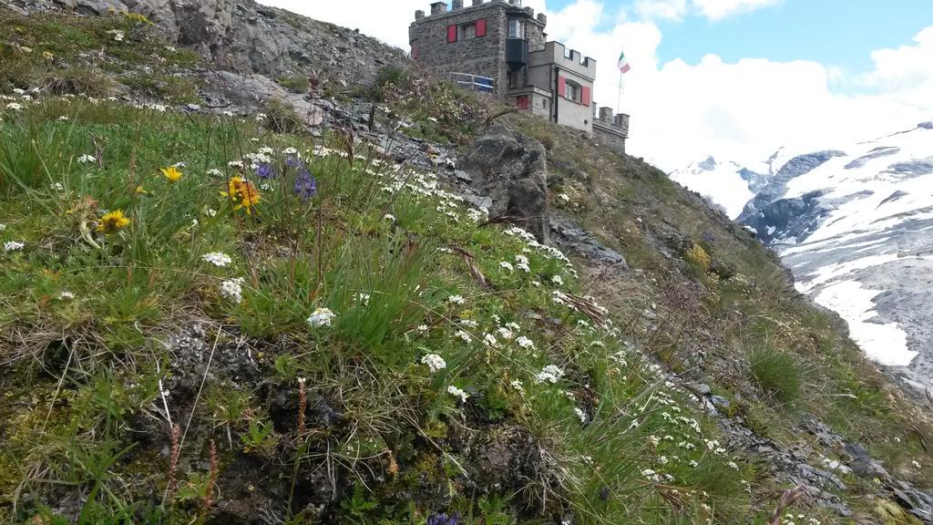 Отель Rifugio Garibaldi Пассо-Стельвио Экстерьер фото